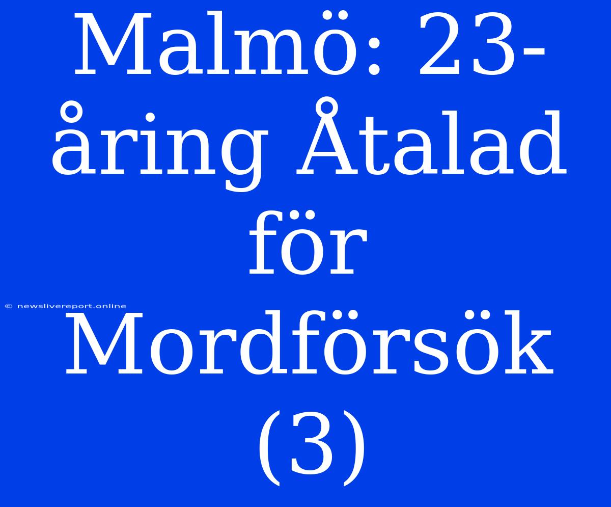 Malmö: 23-åring Åtalad För Mordförsök (3)