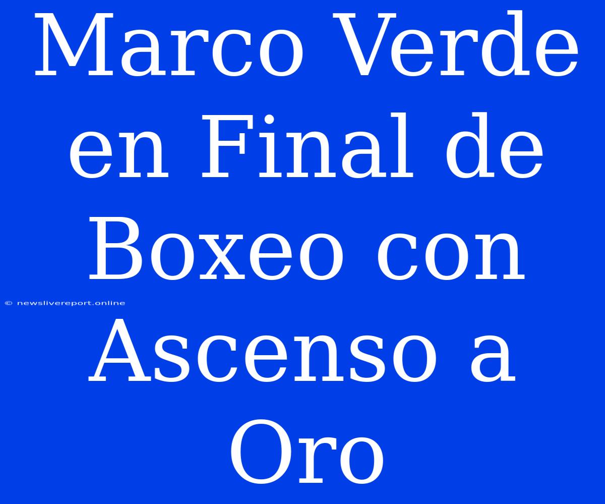 Marco Verde En Final De Boxeo Con Ascenso A Oro