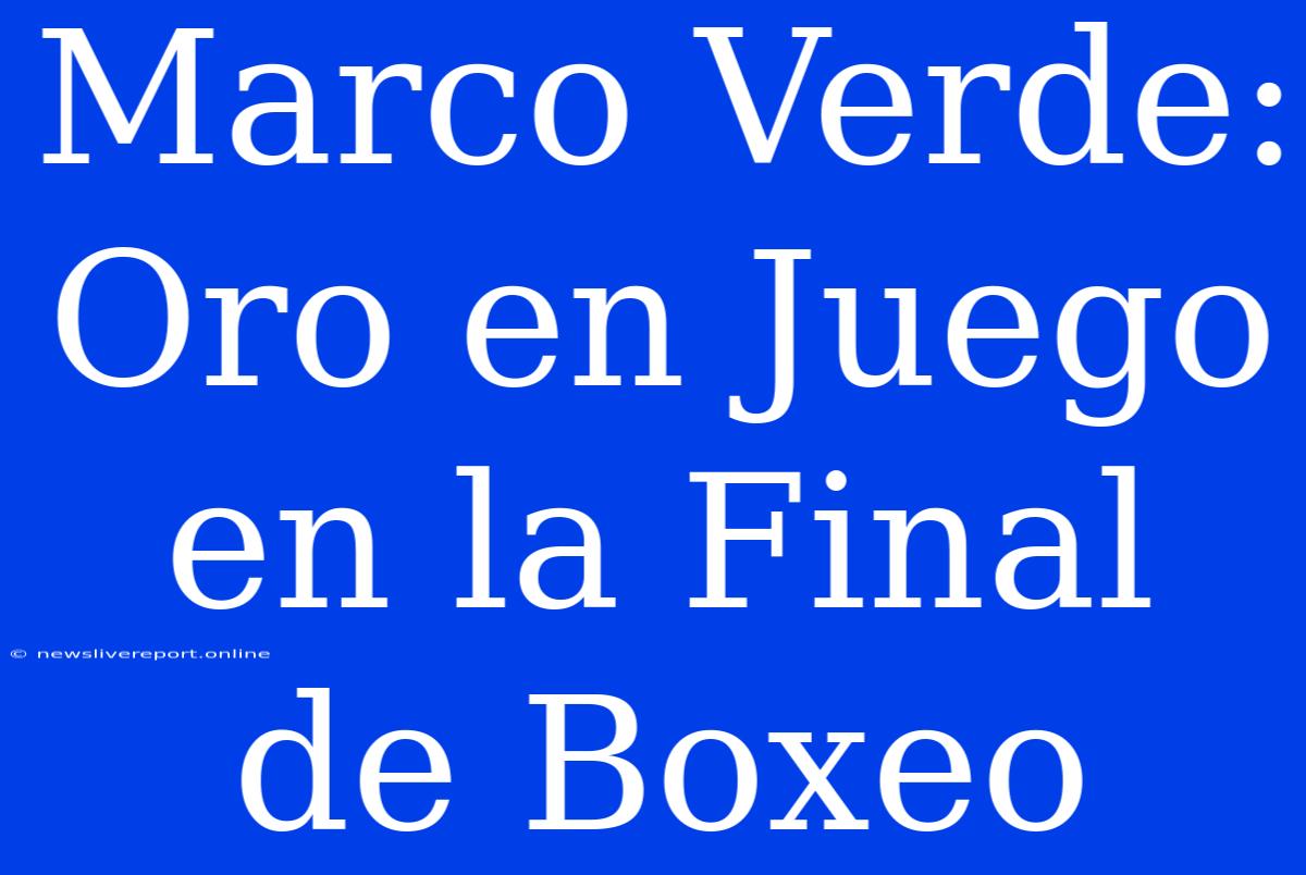 Marco Verde: Oro En Juego En La Final De Boxeo