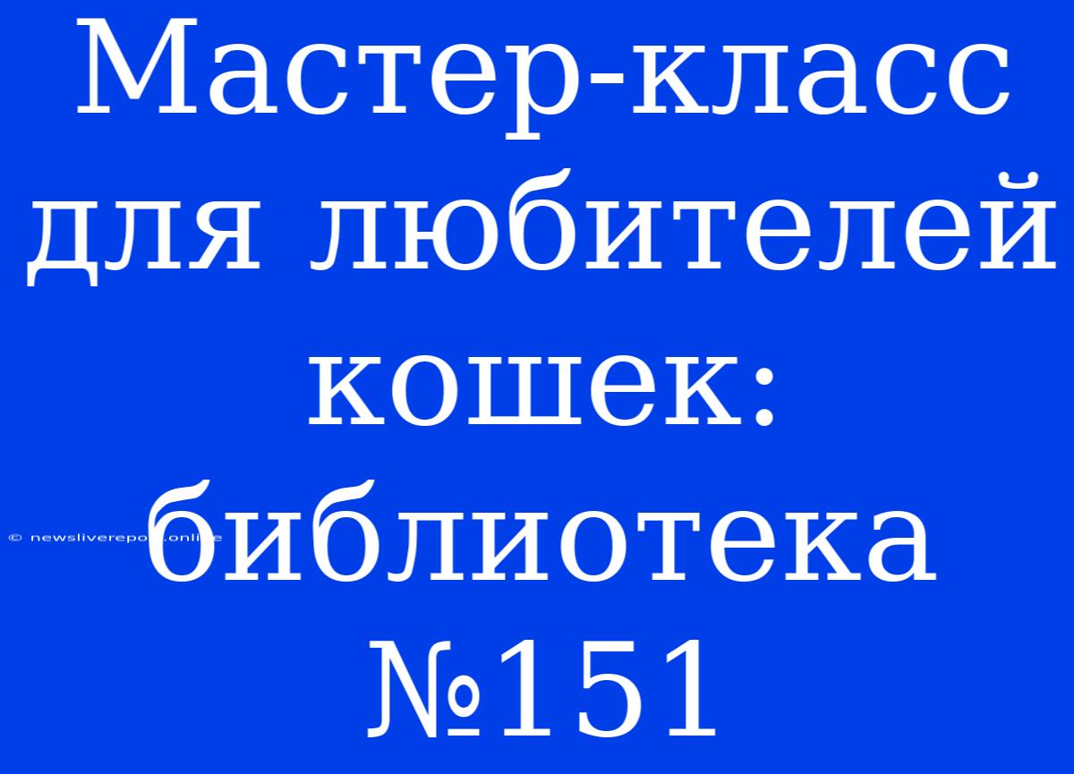 Мастер-класс Для Любителей Кошек: Библиотека №151