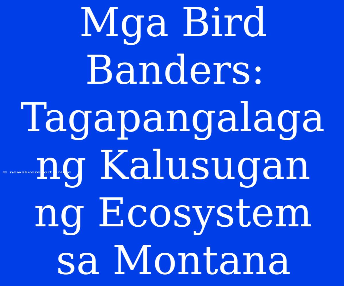 Mga Bird Banders: Tagapangalaga Ng Kalusugan Ng Ecosystem Sa Montana