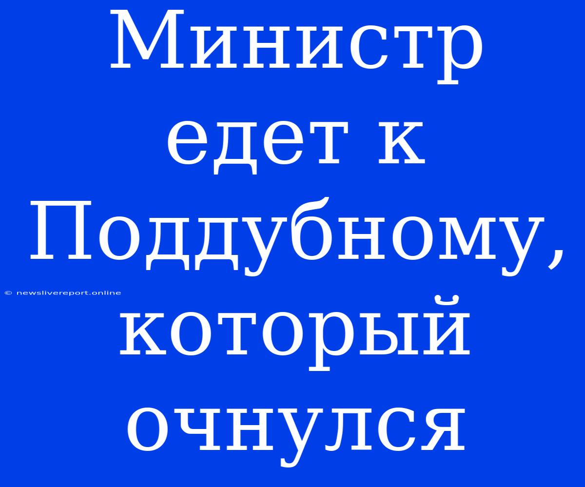 Министр Едет К Поддубному, Который Очнулся