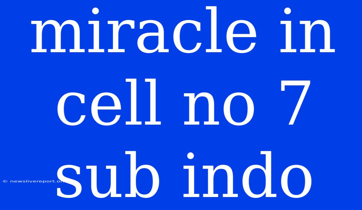 Miracle In Cell No 7 Sub Indo