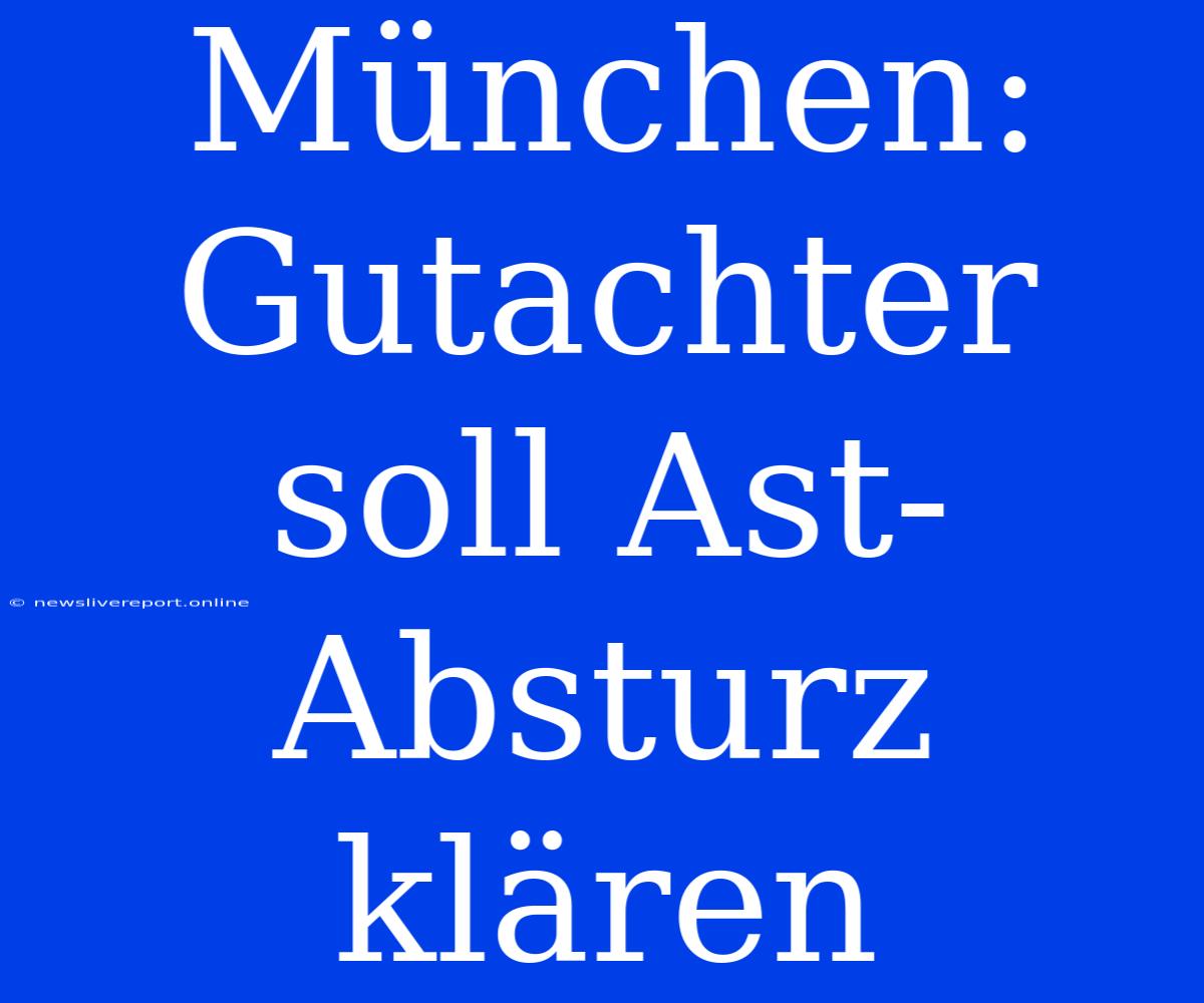 München: Gutachter Soll Ast-Absturz Klären