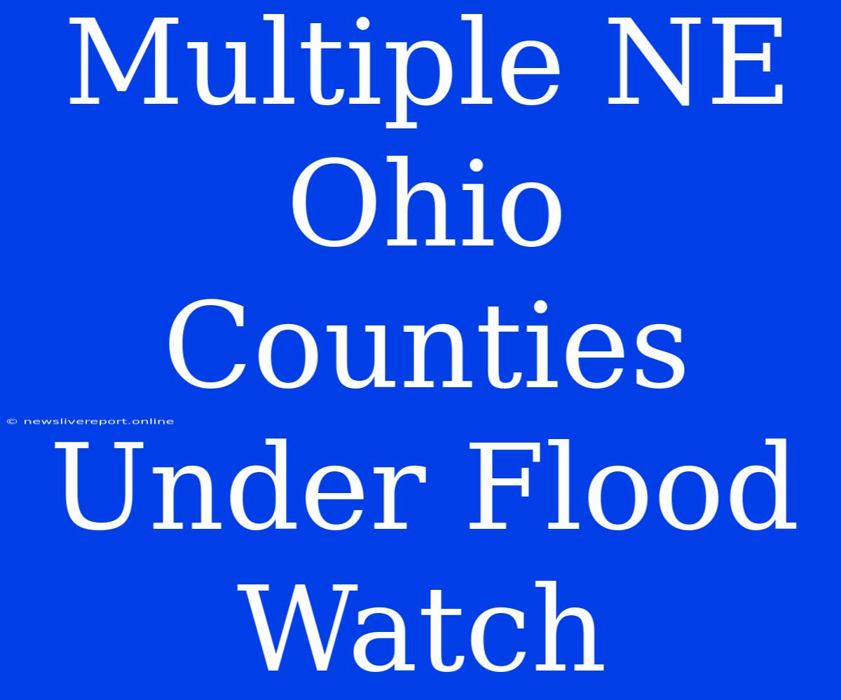 Multiple NE Ohio Counties Under Flood Watch