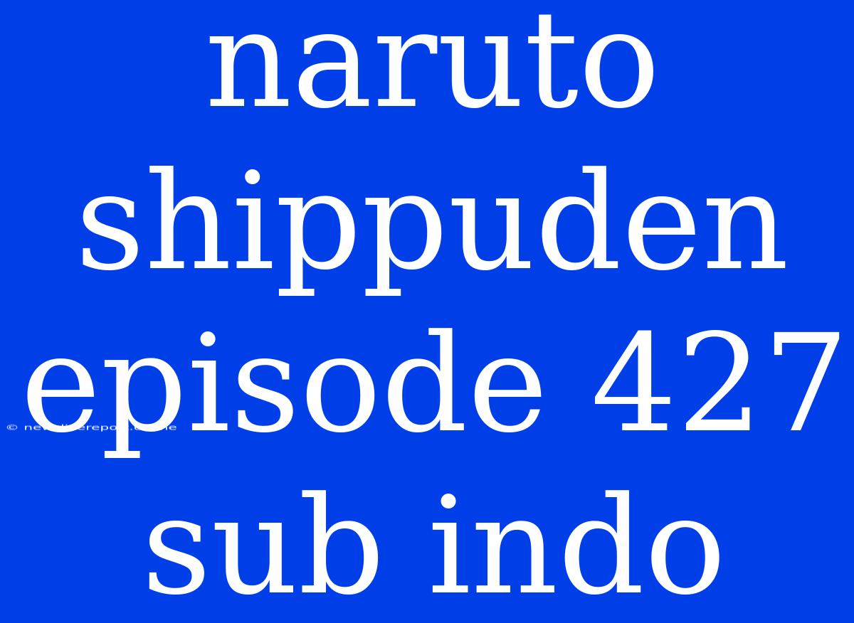 Naruto Shippuden Episode 427 Sub Indo