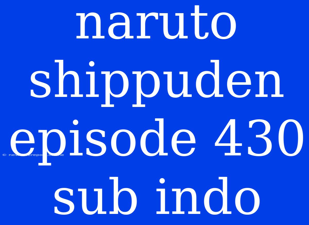 Naruto Shippuden Episode 430 Sub Indo