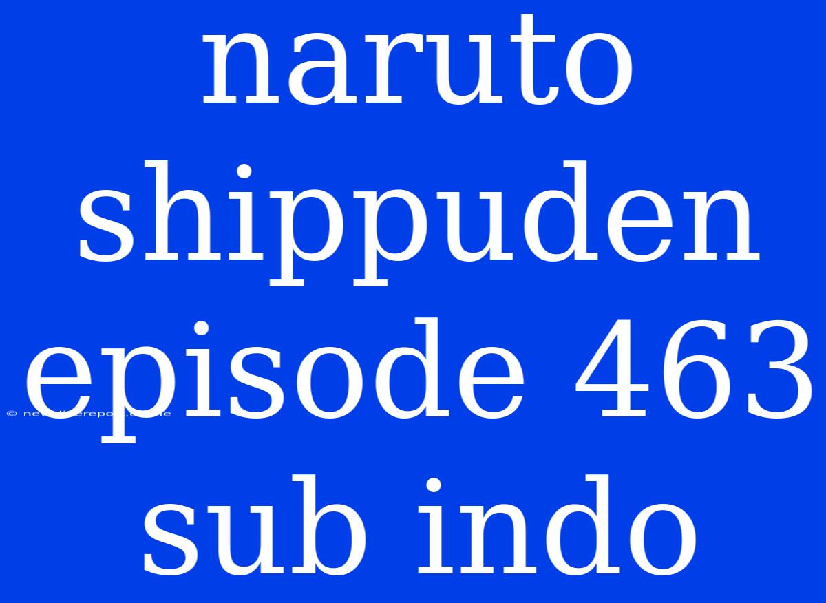 Naruto Shippuden Episode 463 Sub Indo