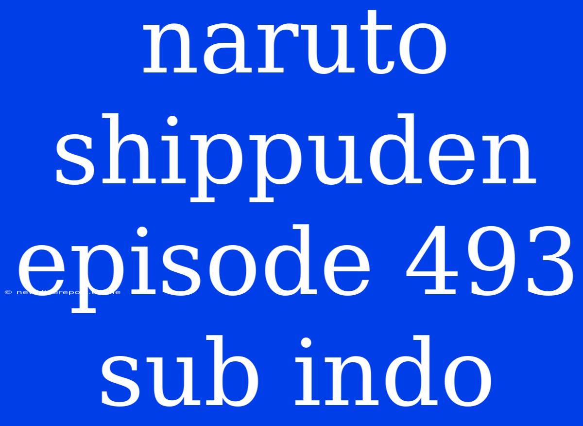 Naruto Shippuden Episode 493 Sub Indo