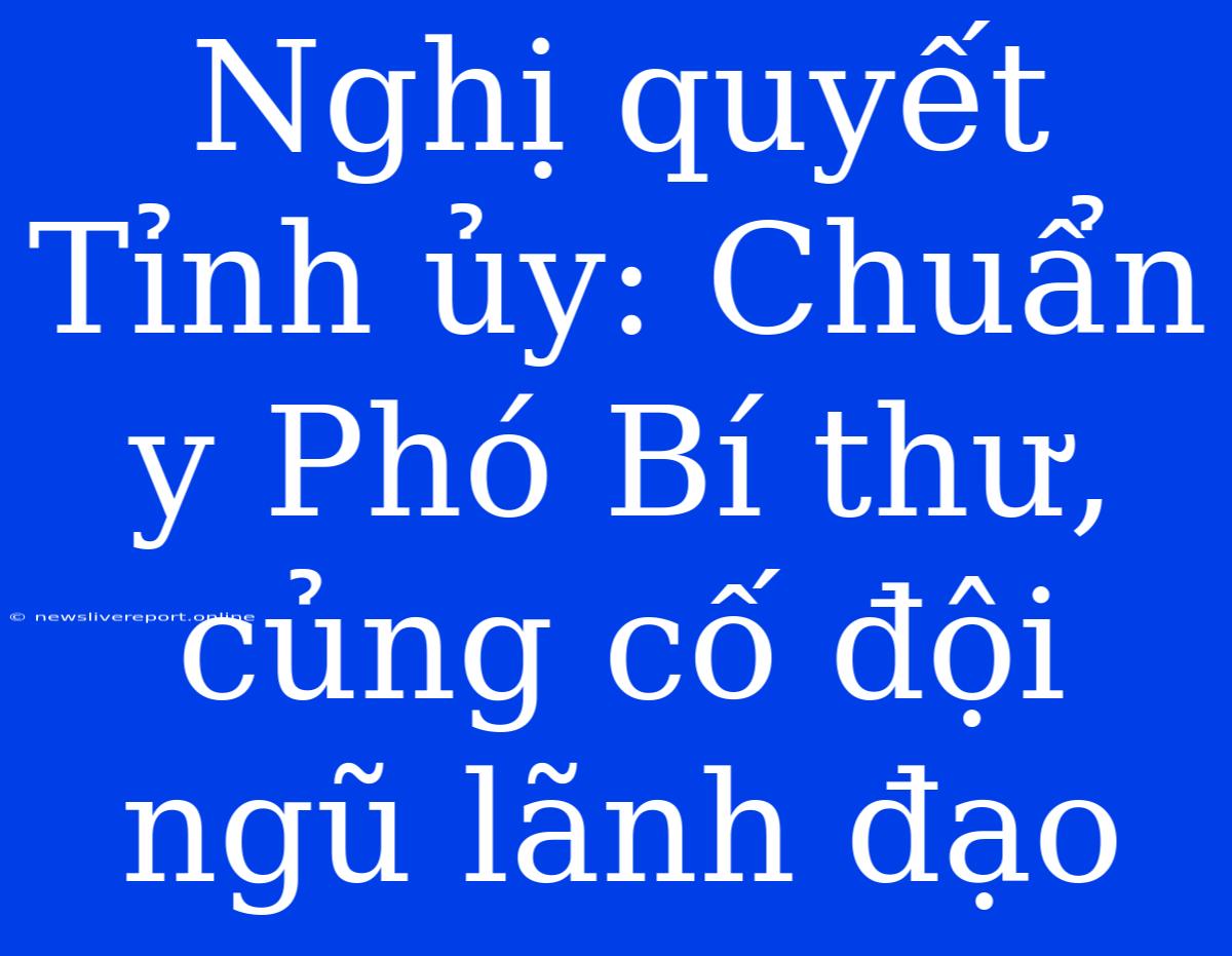 Nghị Quyết Tỉnh Ủy: Chuẩn Y Phó Bí Thư, Củng Cố Đội Ngũ Lãnh Đạo