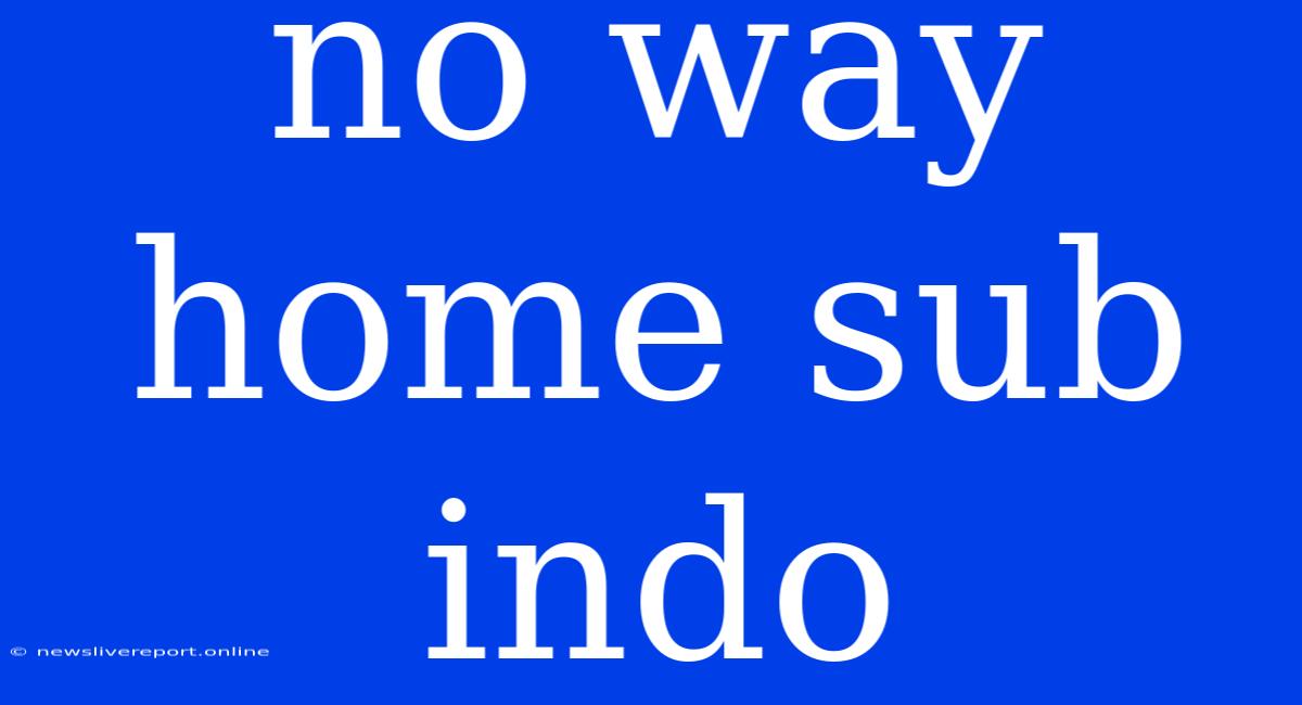 No Way Home Sub Indo