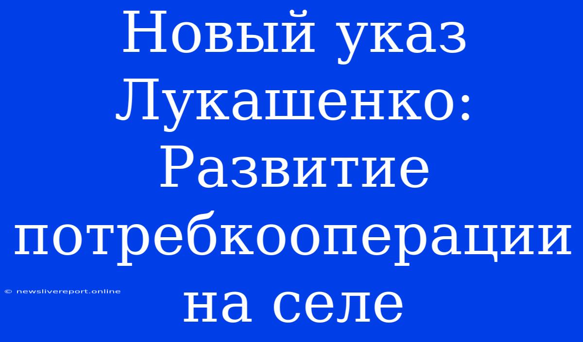 Новый Указ Лукашенко: Развитие Потребкооперации На Селе