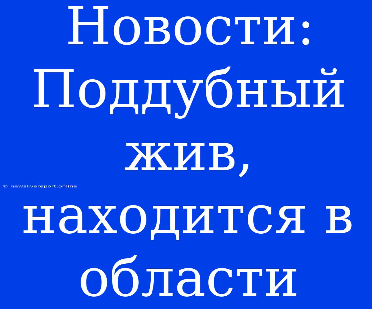 Новости: Поддубный Жив, Находится В Области