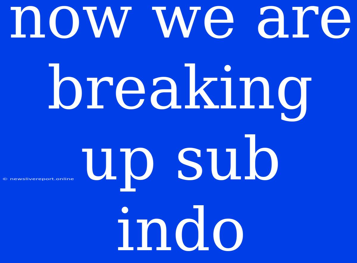 Now We Are Breaking Up Sub Indo