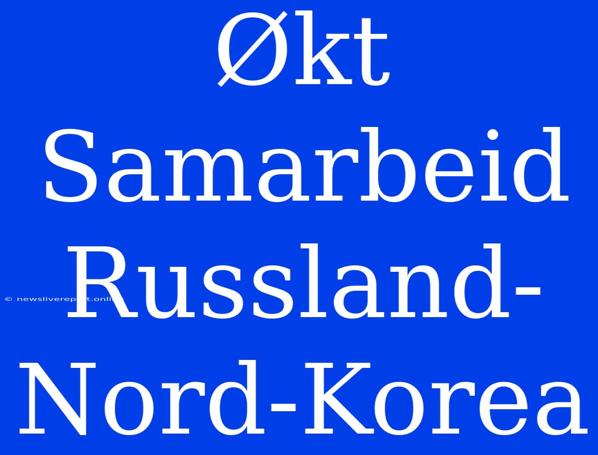 Økt Samarbeid Russland-Nord-Korea