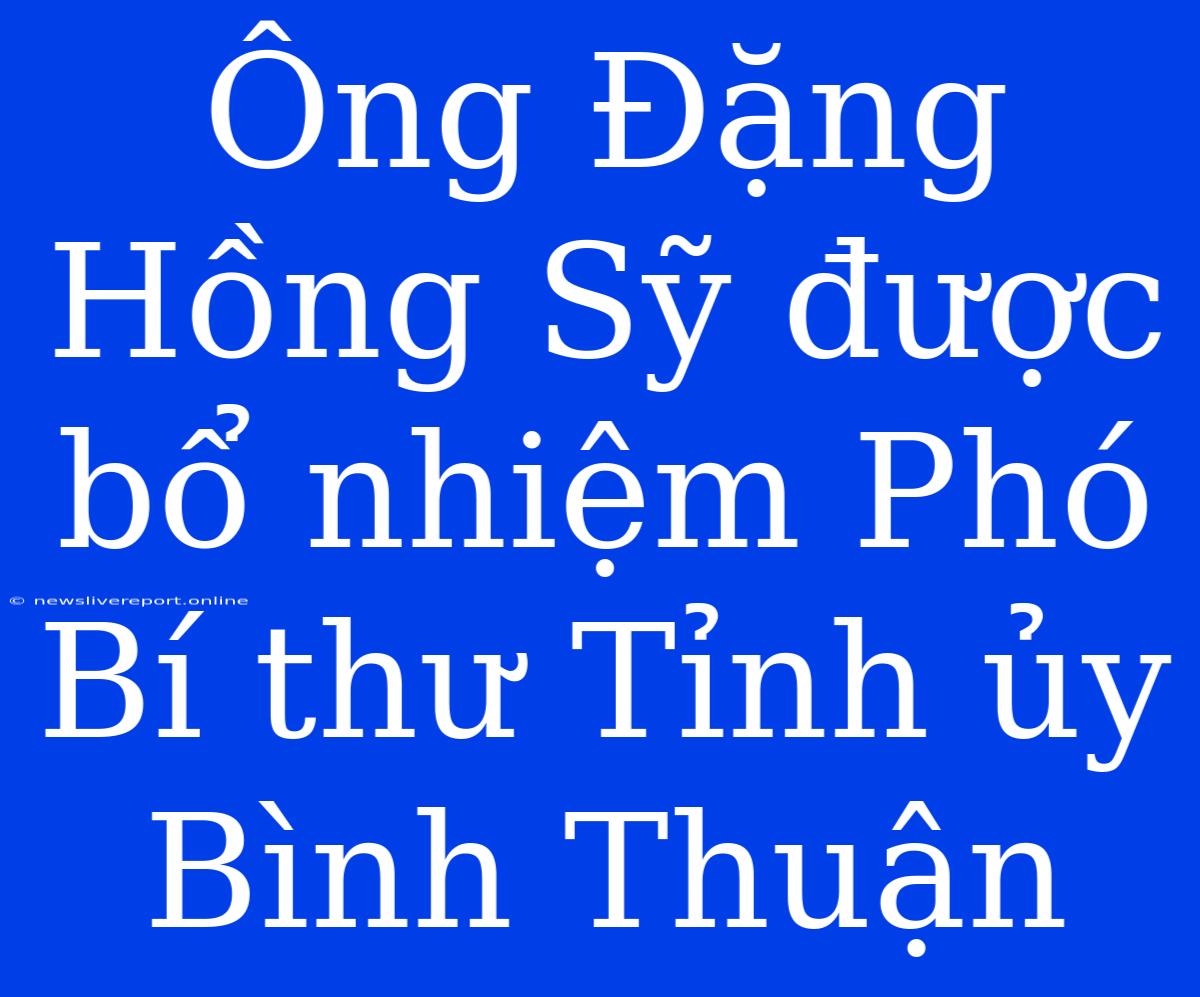 Ông Đặng Hồng Sỹ Được Bổ Nhiệm Phó Bí Thư Tỉnh Ủy Bình Thuận