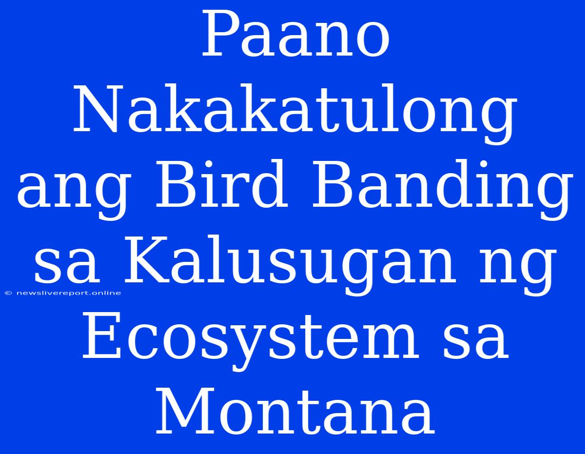 Paano Nakakatulong Ang Bird Banding Sa Kalusugan Ng Ecosystem Sa Montana