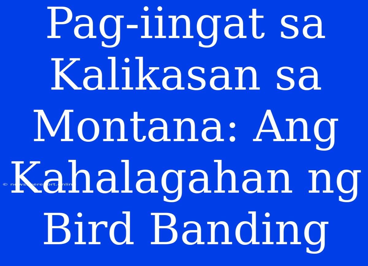 Pag-iingat Sa Kalikasan Sa Montana: Ang Kahalagahan Ng Bird Banding