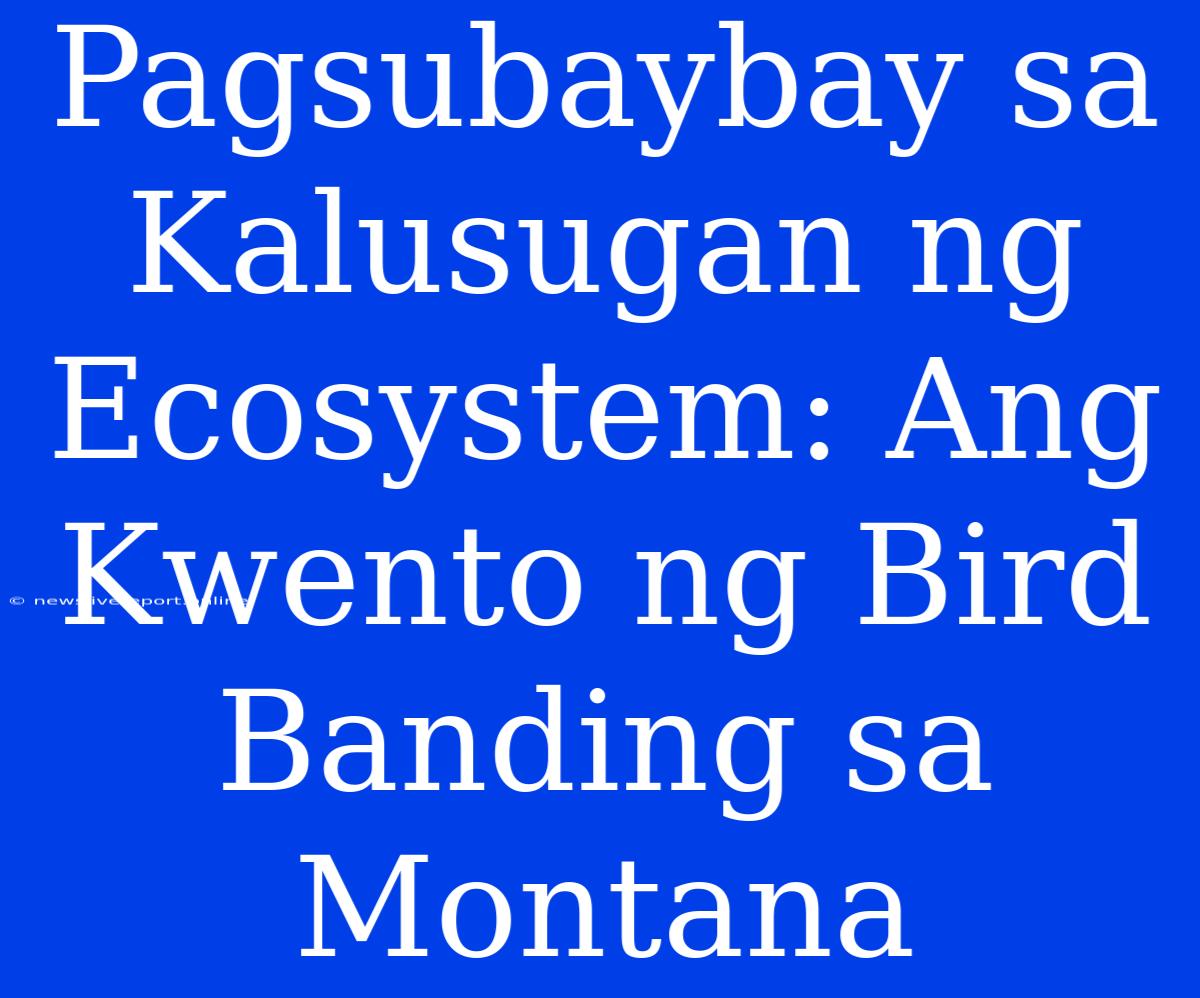 Pagsubaybay Sa Kalusugan Ng Ecosystem: Ang Kwento Ng Bird Banding Sa Montana