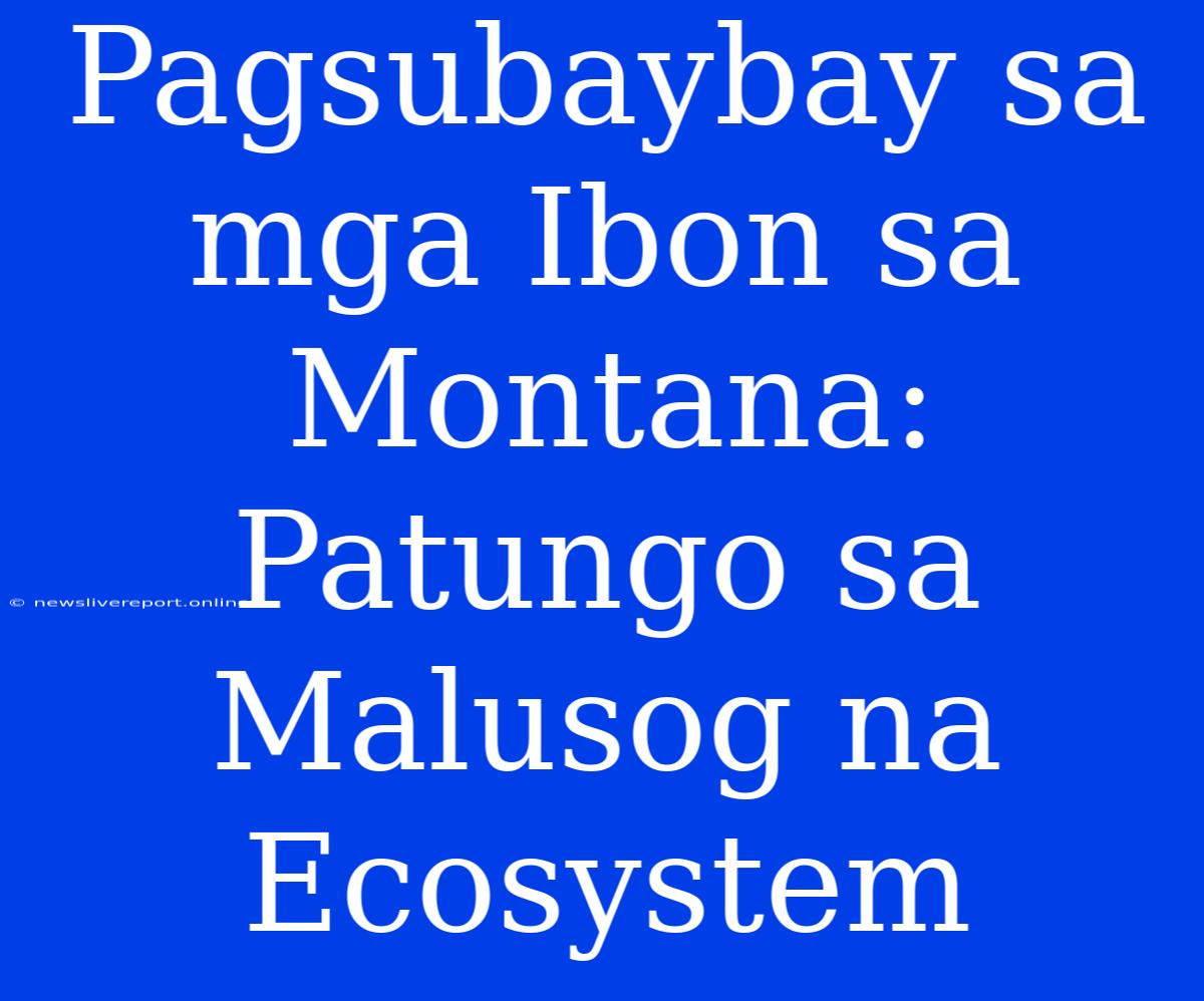 Pagsubaybay Sa Mga Ibon Sa Montana: Patungo Sa Malusog Na Ecosystem