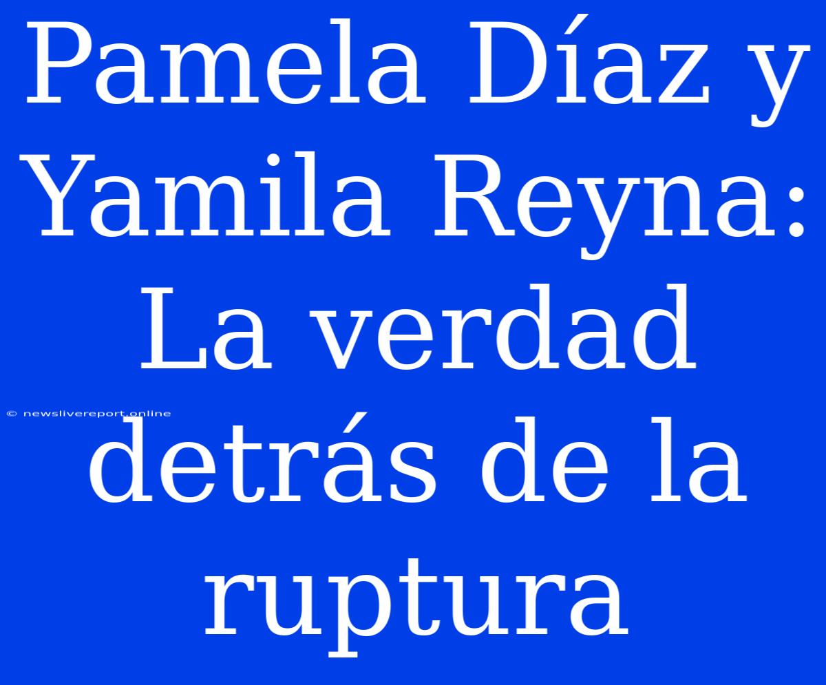 Pamela Díaz Y Yamila Reyna: La Verdad Detrás De La Ruptura