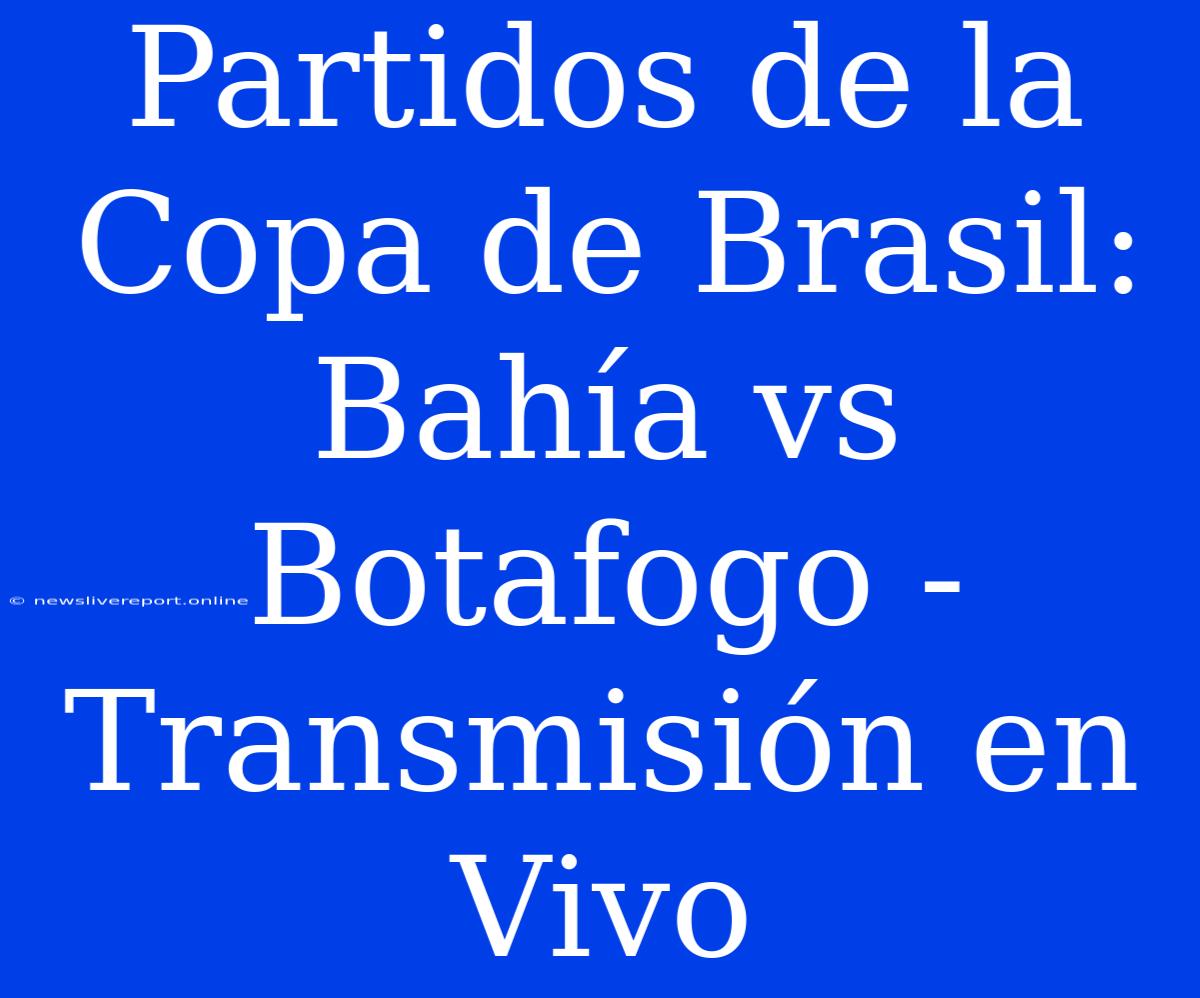 Partidos De La Copa De Brasil: Bahía Vs Botafogo - Transmisión En Vivo