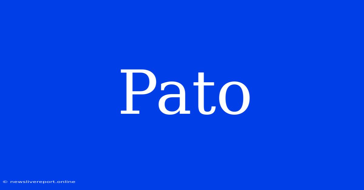 Pato