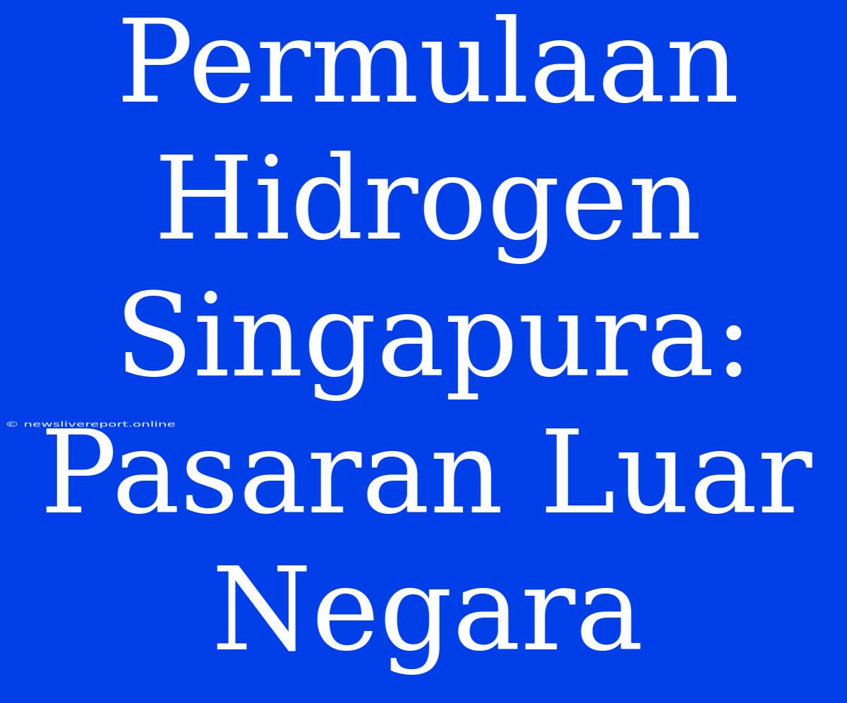 Permulaan Hidrogen Singapura: Pasaran Luar Negara