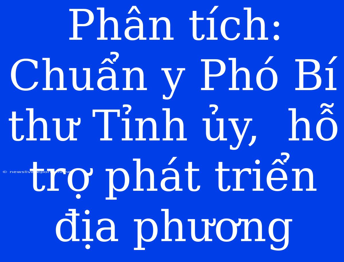 Phân Tích:  Chuẩn Y Phó Bí Thư Tỉnh Ủy,  Hỗ Trợ Phát Triển Địa Phương