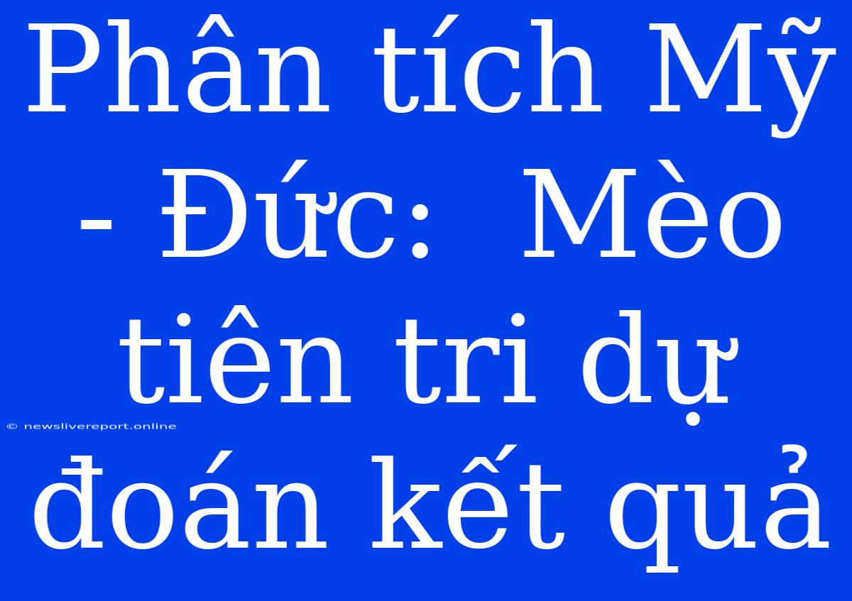 Phân Tích Mỹ - Đức:  Mèo Tiên Tri Dự Đoán Kết Quả