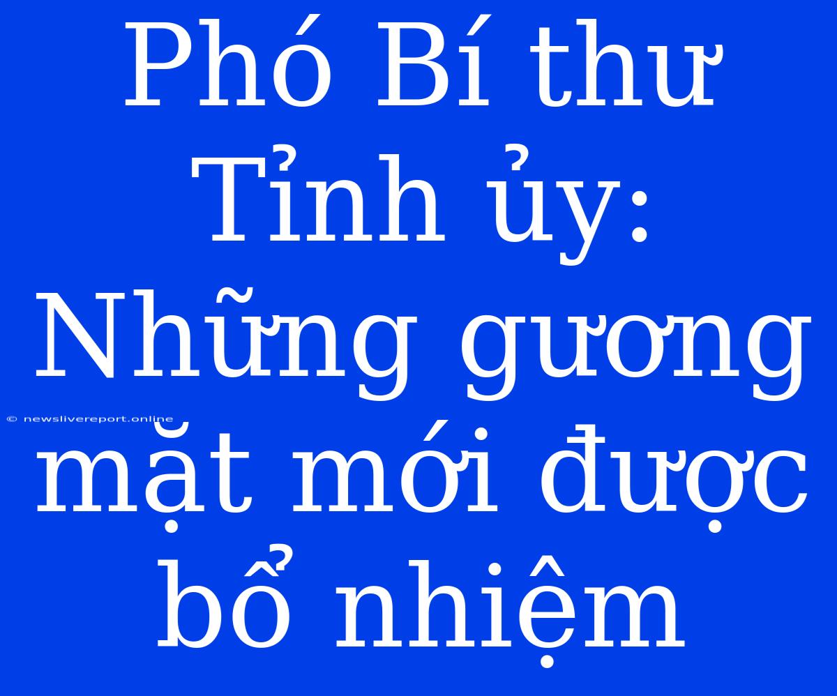 Phó Bí Thư Tỉnh Ủy: Những Gương Mặt Mới Được Bổ Nhiệm