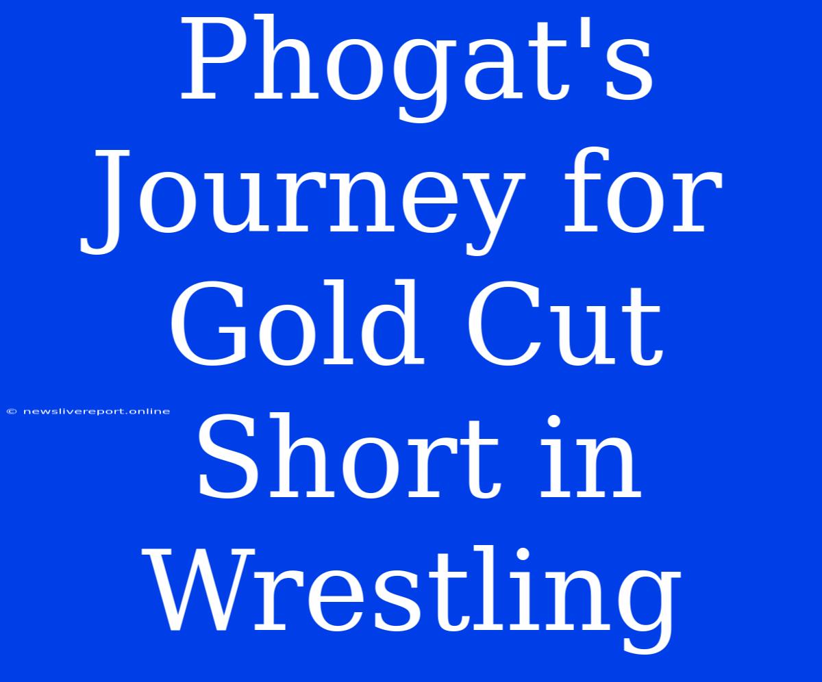 Phogat's Journey For Gold Cut Short In Wrestling