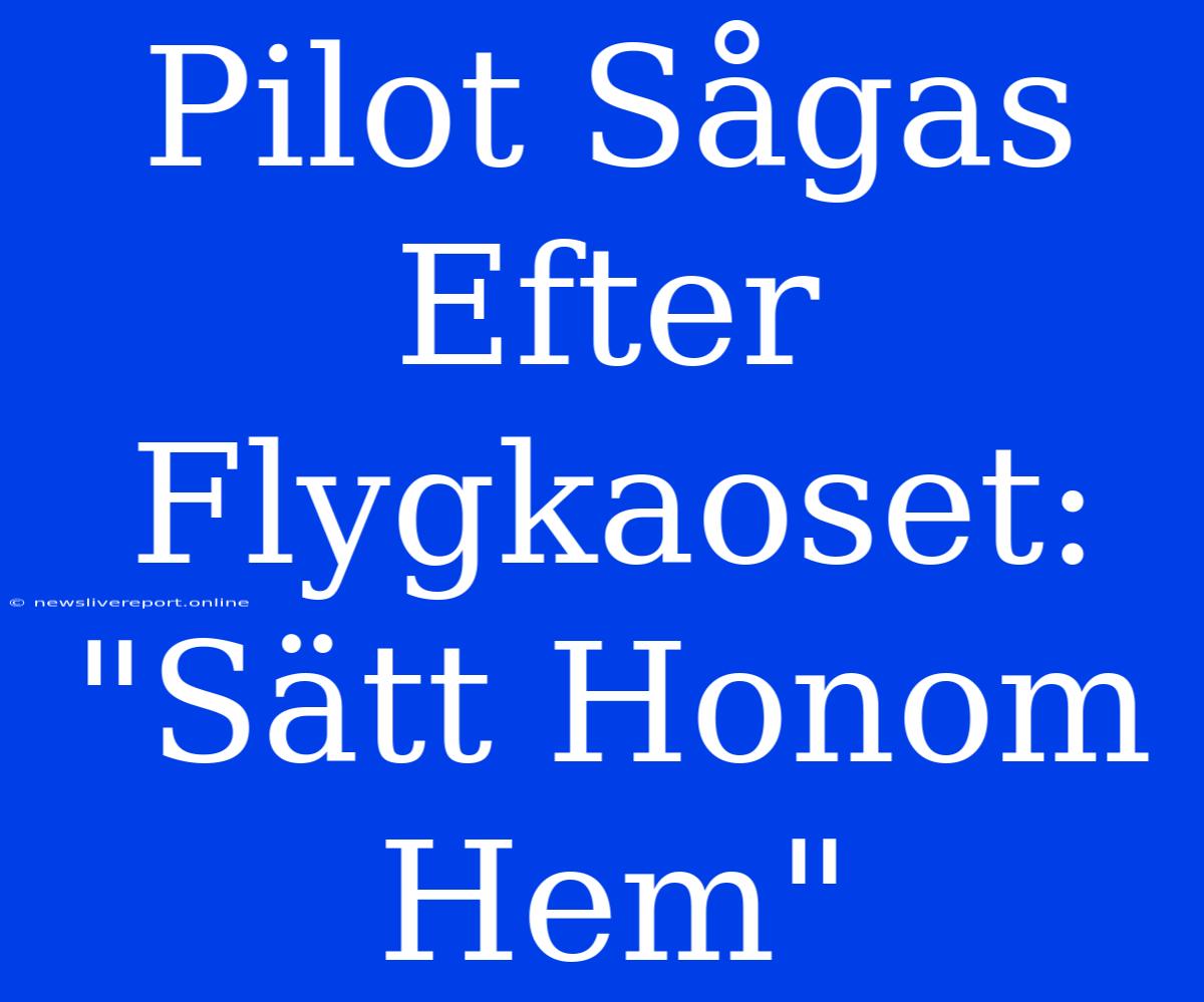 Pilot Sågas Efter Flygkaoset: 