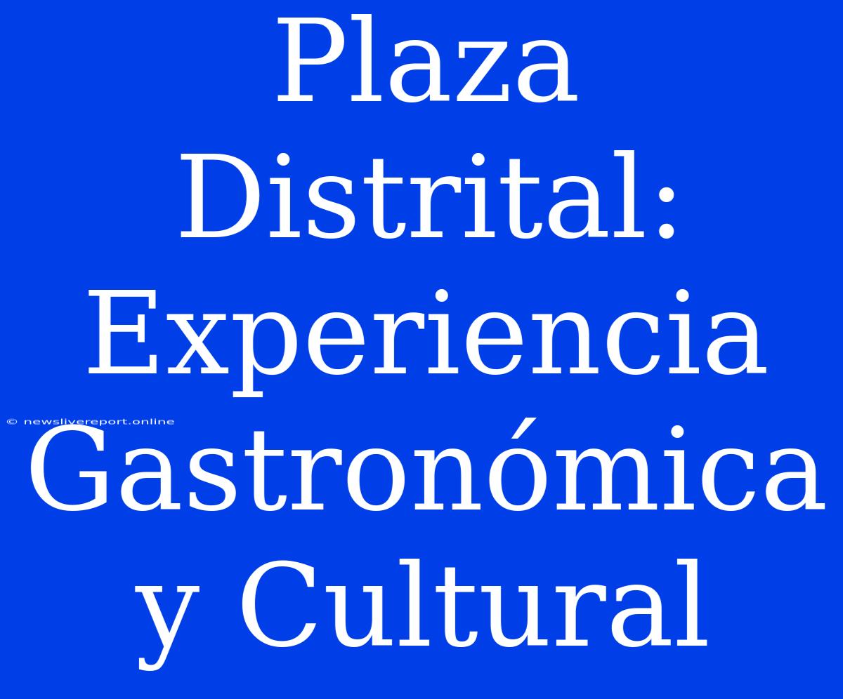 Plaza Distrital: Experiencia Gastronómica Y Cultural