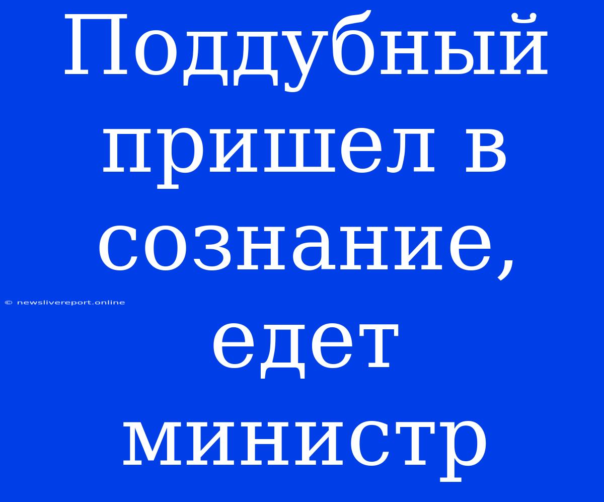 Поддубный Пришел В Сознание, Едет Министр