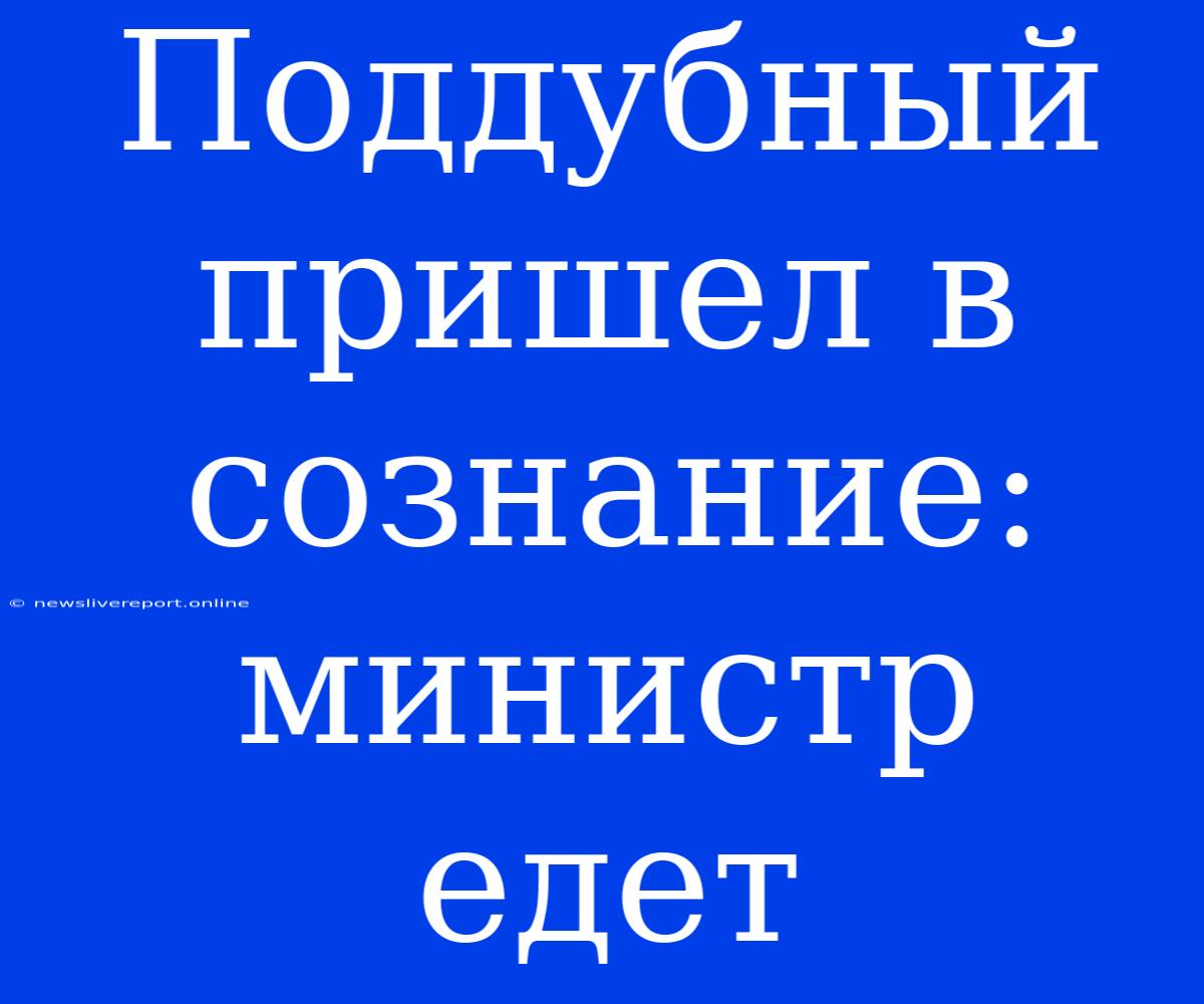 Поддубный Пришел В Сознание: Министр Едет