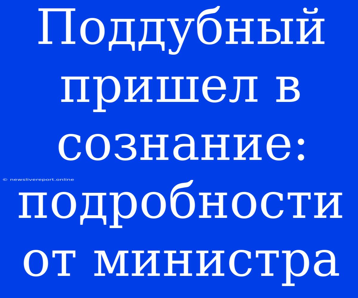 Поддубный Пришел В Сознание: Подробности От Министра