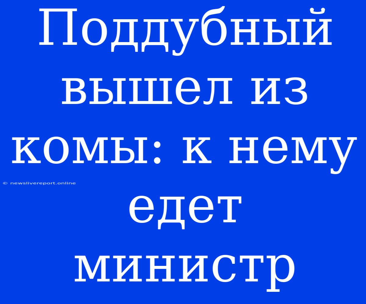 Поддубный Вышел Из Комы: К Нему Едет Министр