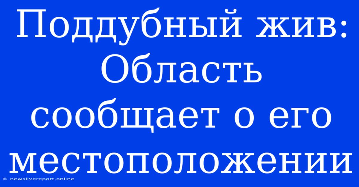 Поддубный Жив: Область Сообщает О Его Местоположении