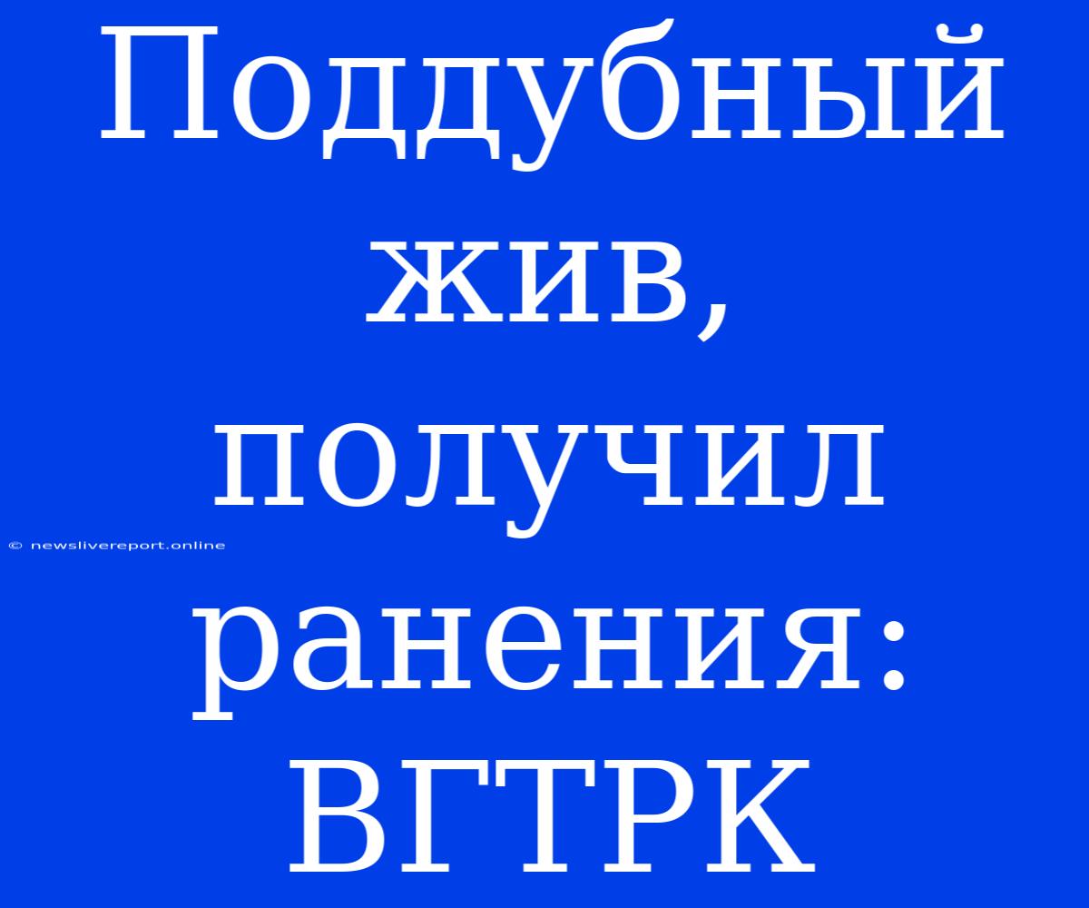 Поддубный Жив, Получил Ранения: ВГТРК