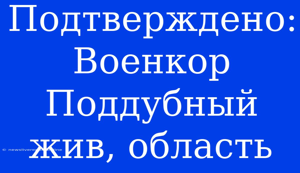 Подтверждено: Военкор Поддубный Жив, Область