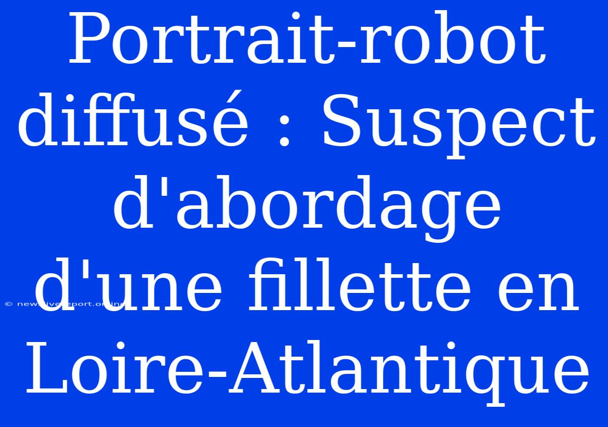 Portrait-robot Diffusé : Suspect D'abordage D'une Fillette En Loire-Atlantique