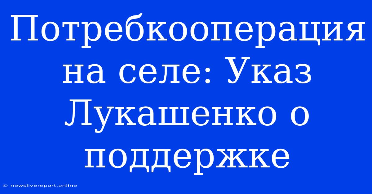 Потребкооперация На Селе: Указ Лукашенко О Поддержке