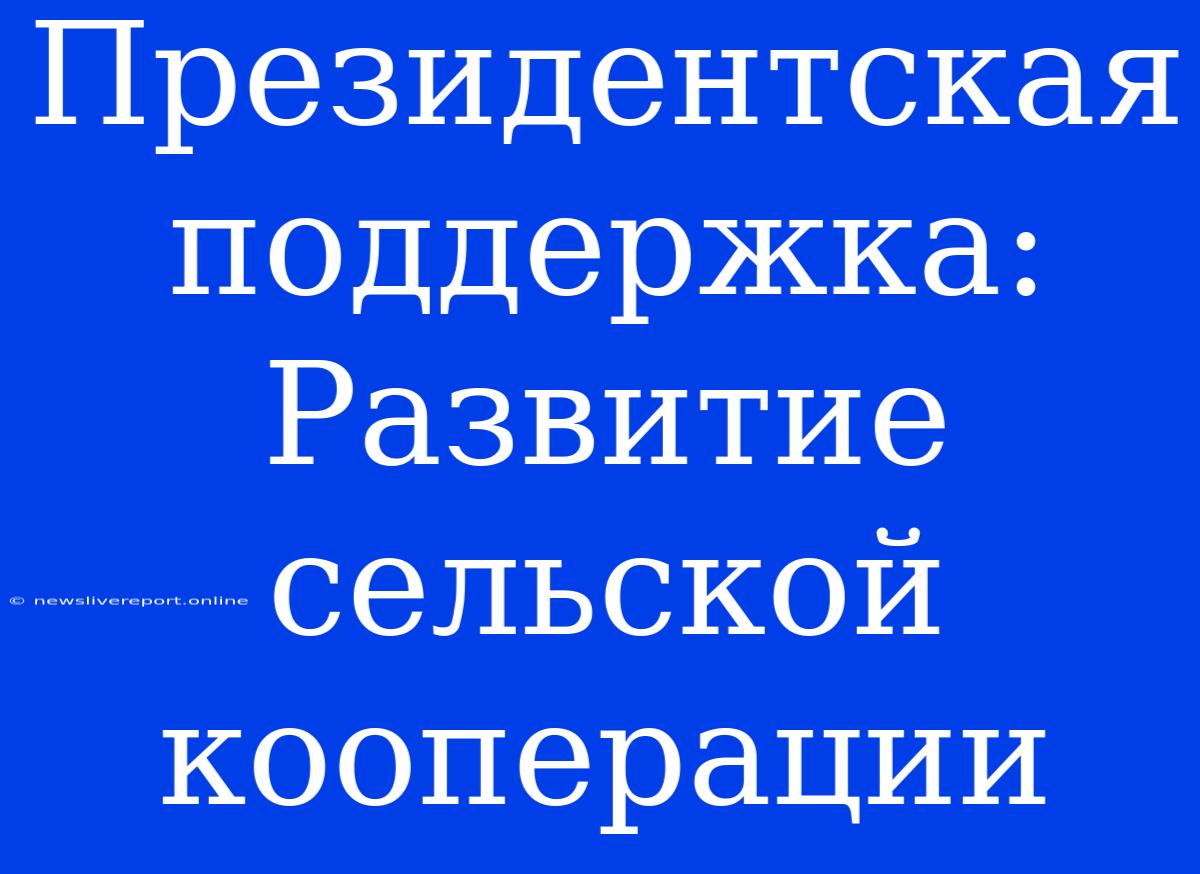 Президентская Поддержка:  Развитие Сельской Кооперации