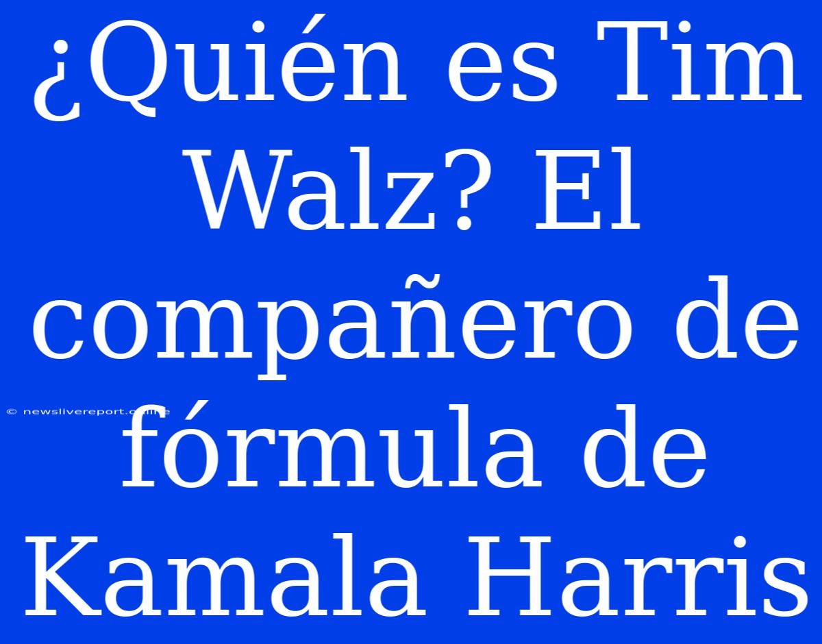 ¿Quién Es Tim Walz? El Compañero De Fórmula De Kamala Harris