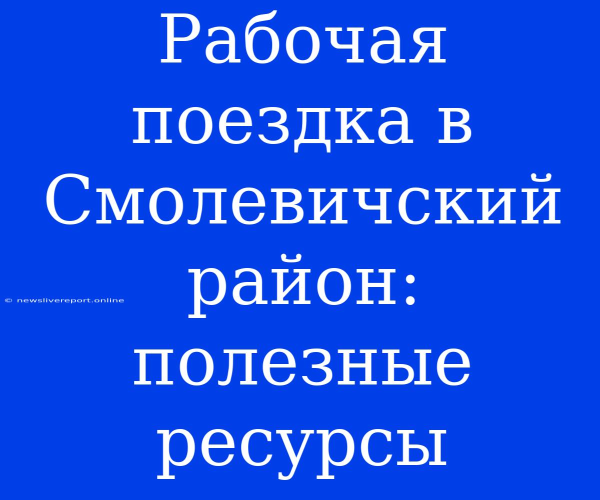 Рабочая Поездка В Смолевичский Район: Полезные Ресурсы