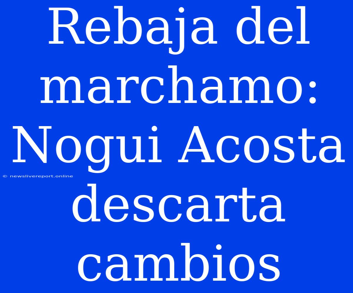 Rebaja Del Marchamo: Nogui Acosta Descarta Cambios