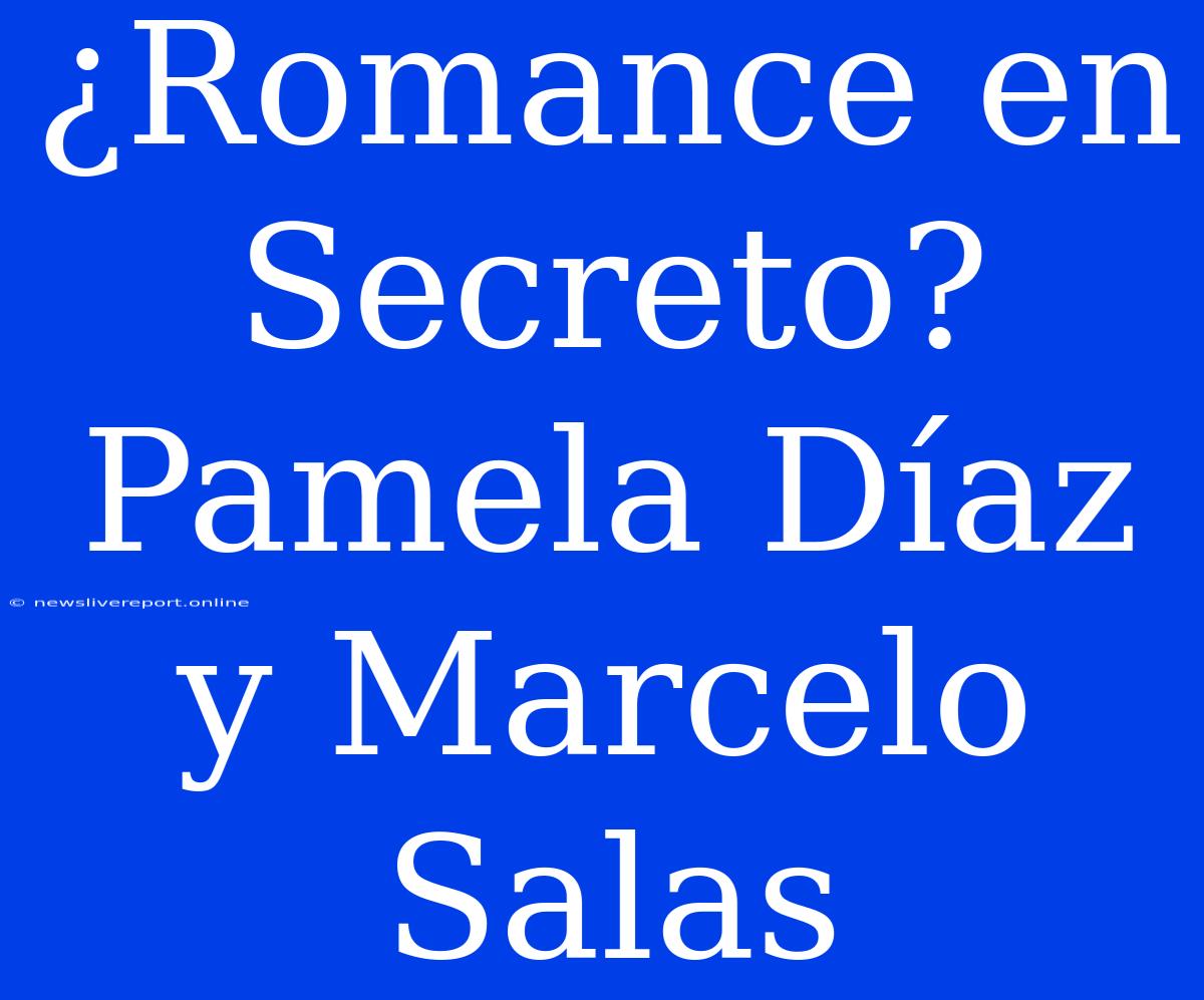 ¿Romance En Secreto? Pamela Díaz Y Marcelo Salas