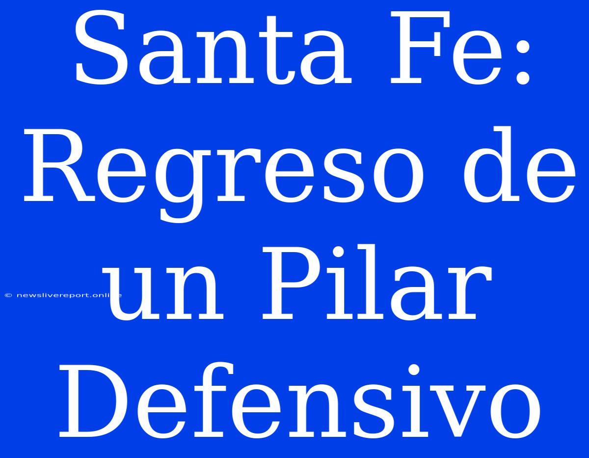 Santa Fe: Regreso De Un Pilar Defensivo