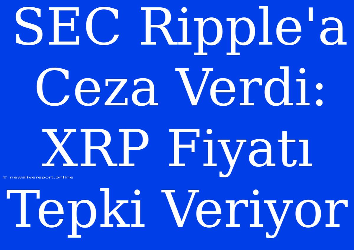 SEC Ripple'a Ceza Verdi: XRP Fiyatı Tepki Veriyor